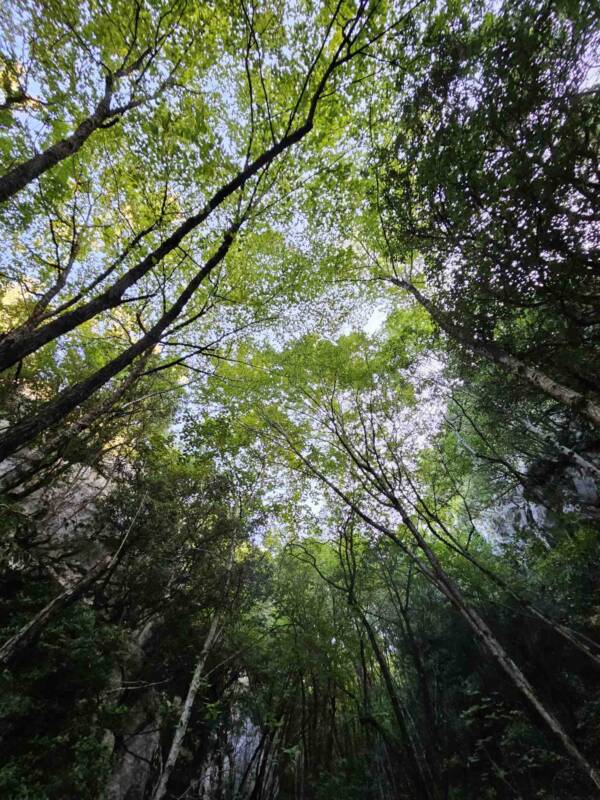 val di fua monti della duchessa 42 gradi nord