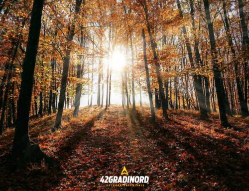 FOLIAGE, 7 TREKKING D’AUTUNNO AL CENTRO D’ITALIA