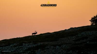 bramito 42 Gradi Nord