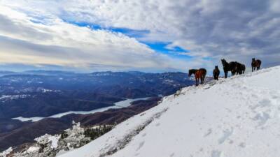 monte la serra 42 gradi nord
