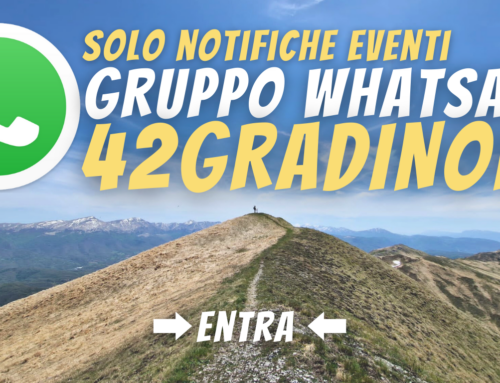 Iscriviti al Gruppo WhatsApp di 42 GRADI NORD