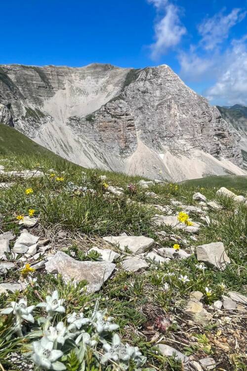pizzo del diavolo redentore 42 gradinord