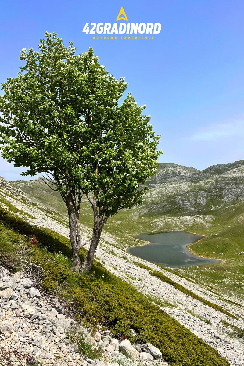 lago della duchessa 42 gradi nord lago della duchessa 42 gradi nord