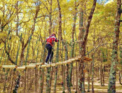 Apre il parco avventura 42gradinord