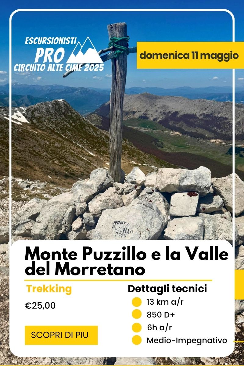 Puzzillo morretano Puzzillo morretano