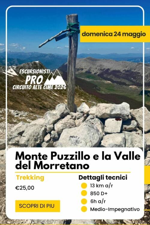 Puzzillo morretano