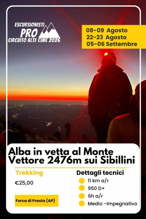 alba vettore
