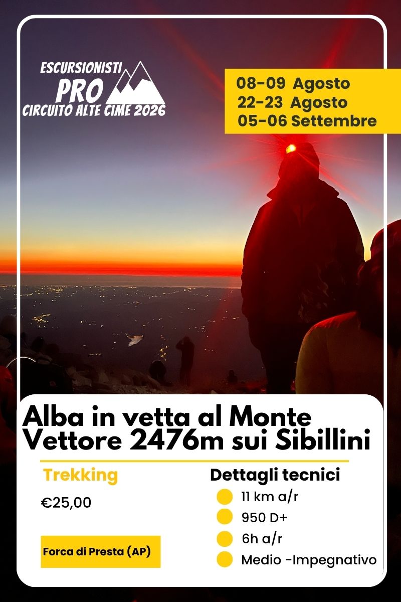 alba vettore