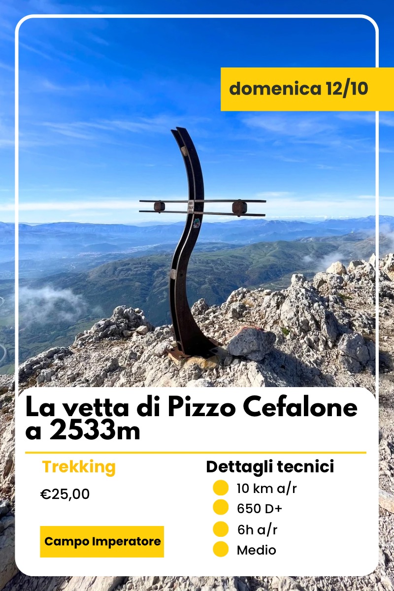 pizzo cefalone pizzo cefalone